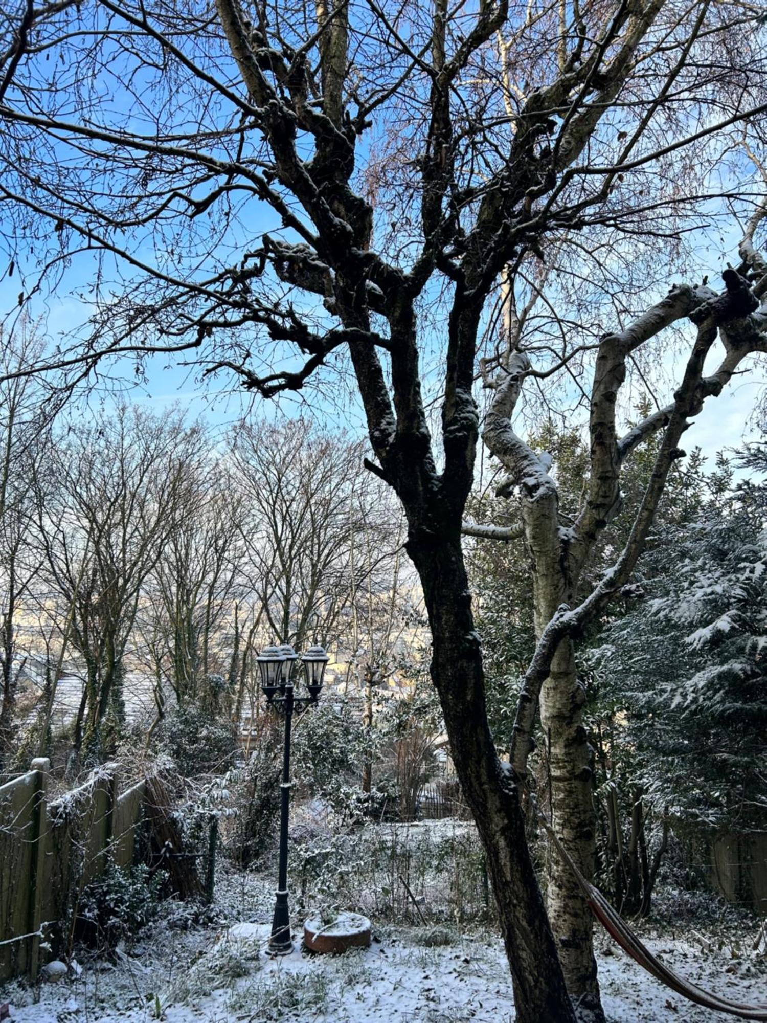 Maison Hautes Bruyeres กาช็อง ภายนอก รูปภาพ